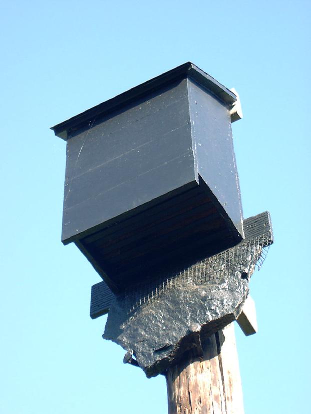 CloseUp.jpg